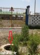 دزدها به شهر سیاهکل آمده و دریچه های گاز را به سرقت میبرند+گزارش تصویری