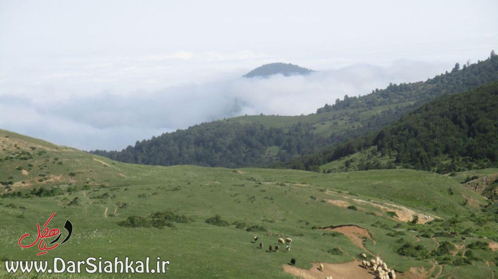 طبیعت دیلمان (۱۲)