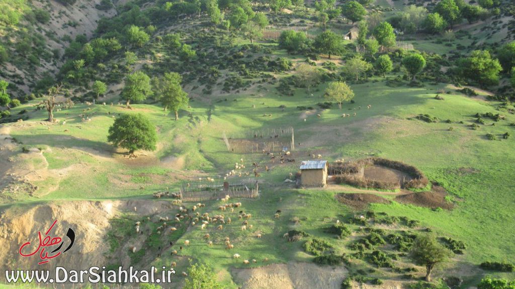 طبیعت دیلمان (۱۹)