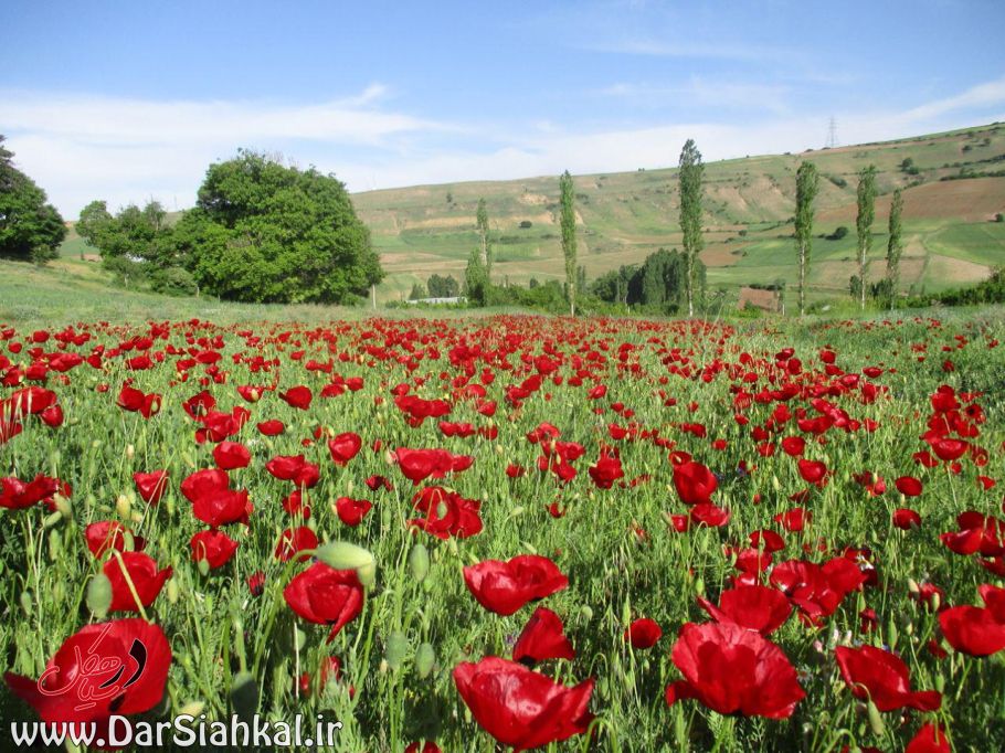 طبیعت دیلمان (۲)
