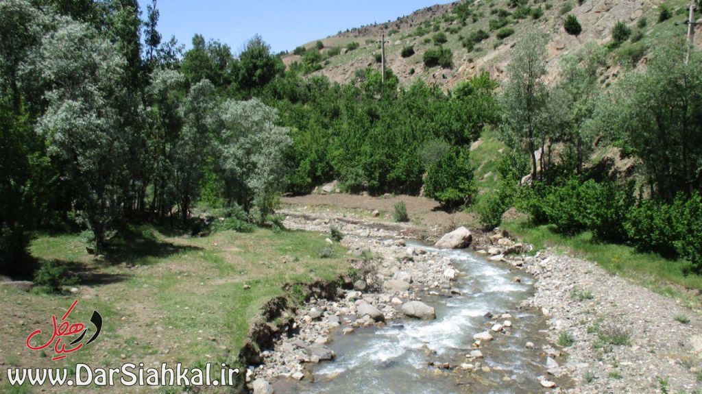 طبیعت دیلمان (۲۰)