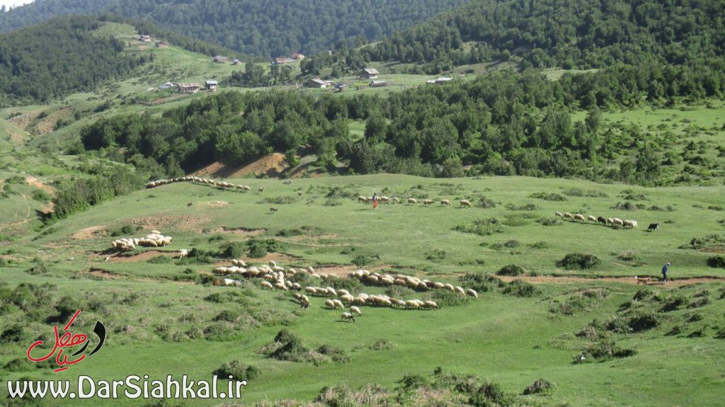 طبیعت دیلمان (۲۱)
