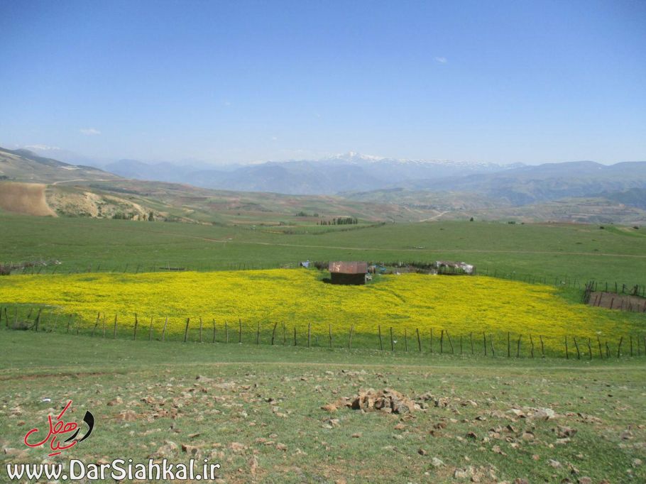 طبیعت دیلمان (۲۳)