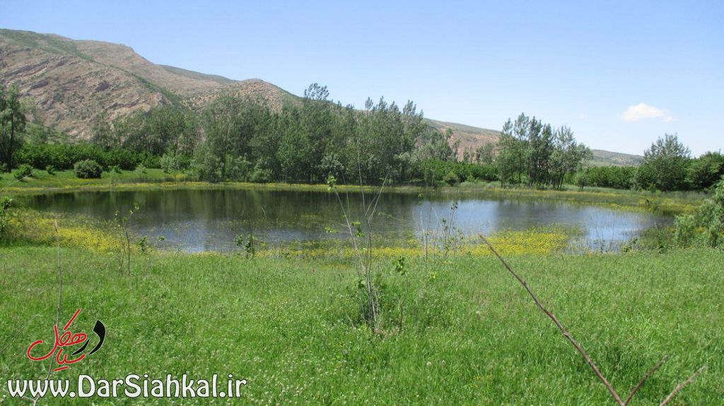 طبیعت دیلمان (۴)