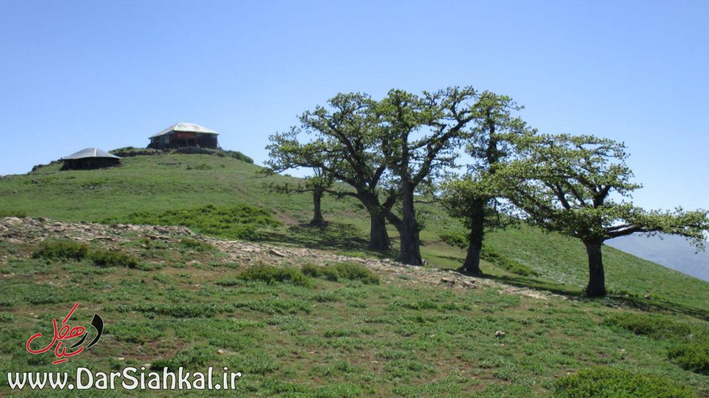 طبیعت دیلمان (۷)