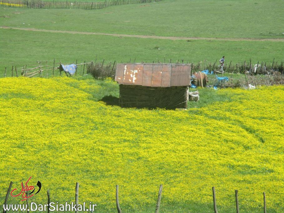 طبیعت دیلمان (۹)