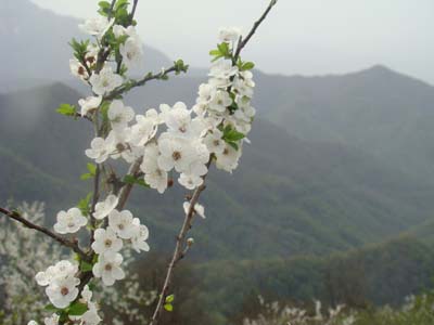 تصاویری زیبا از منطقه سیاهکل و ارزش تاریخی آن