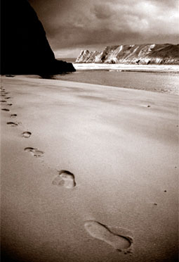 شبی خواب دیدم…