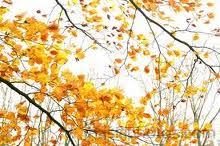 دیلمان سردترین نقطه گیلان