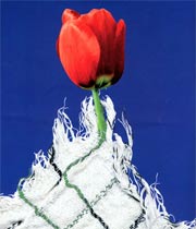 پوستر مراسم یادواره ۱۵ شهید والا مقام روستای آسیابر