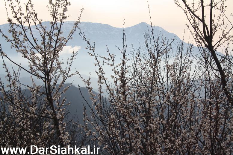 قبل از مرگ حتما به دیلمان سفر کنید