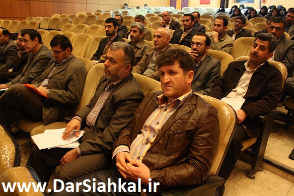 mohsen_mirbagheri (6)