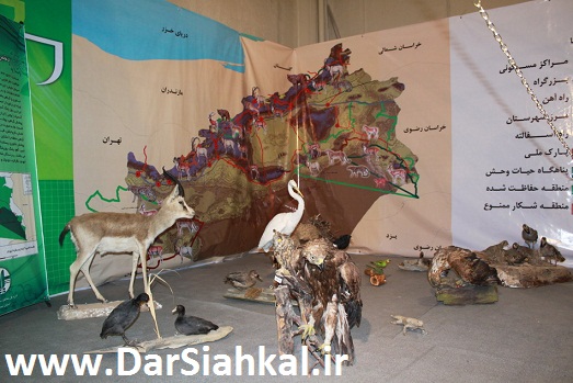 namayeshgah-sarmayegozari (11)