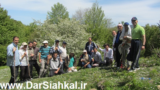 فرهنگیان سیاهکل و رودبنه به دل جنگل زدند+گزارش تصویری