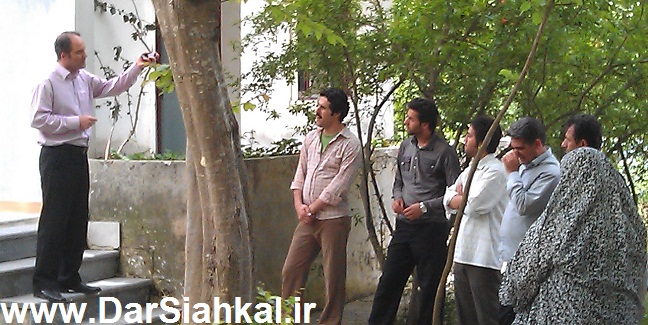 seryal_chay_va_zendegi (3)