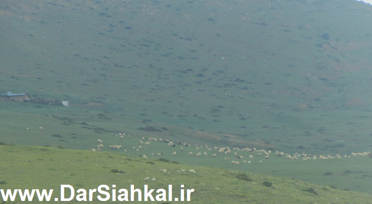 tabiat_siahkal_deylaman_ziba (13)