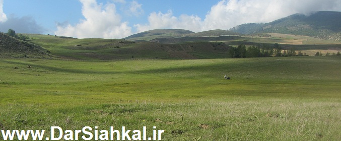 tabiat_siahkal_deylaman_ziba (5)