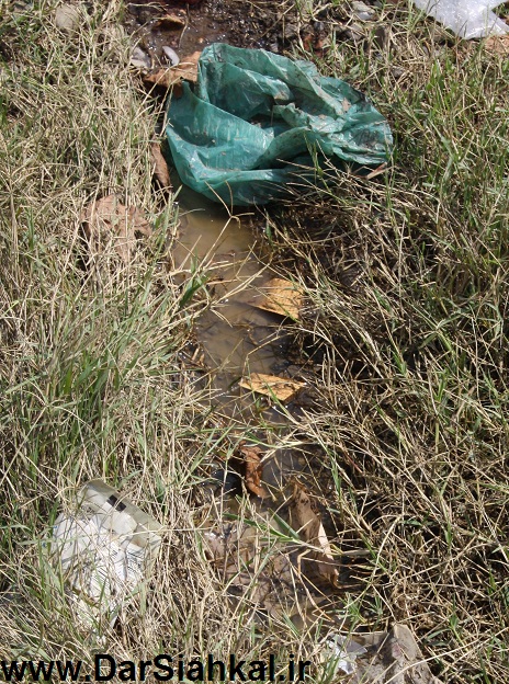 zobale_shahrdari_siahkal (4)