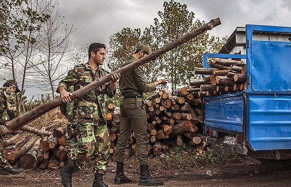 تعزیر میلیونی عاملان قاچاق چوب در سیاهکل