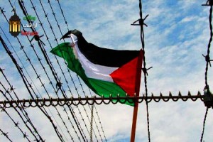 از نیل تا فرات…