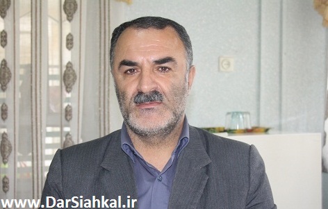 درختان چنار سیاهکل را قطع نمی کنیم/ مجبور به هرس درختان هستیم+تصاویر