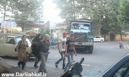 tereyli_kamion_obor_mamno (8)