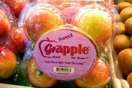 0.942732001388037386_taknaz