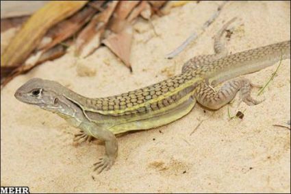 769e6a30-a80d-4230-bd41-0a9ff7dd76b9