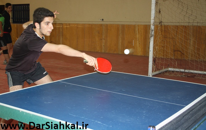 ping_pong_dar_siahkal (16)