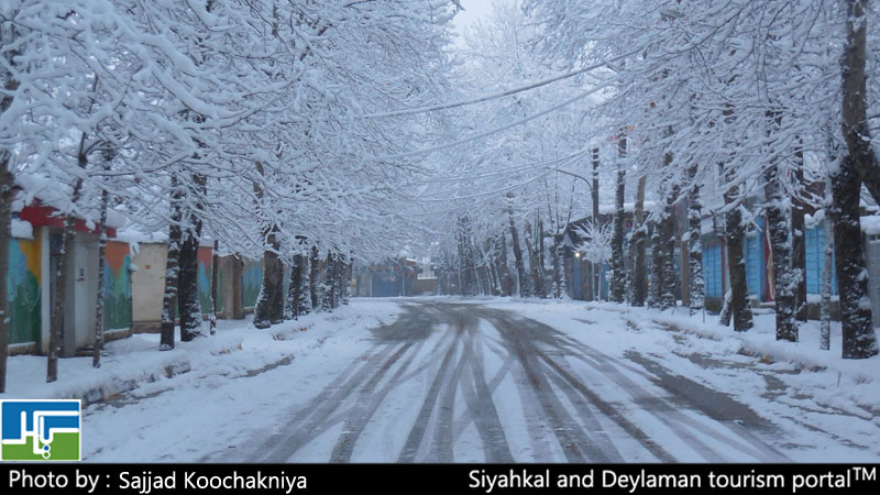 تصاویری از برف زیبای زمستانی درسیاهکل/ ۵