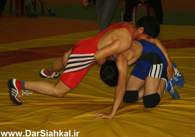 koshti_dar_siahkal (13)