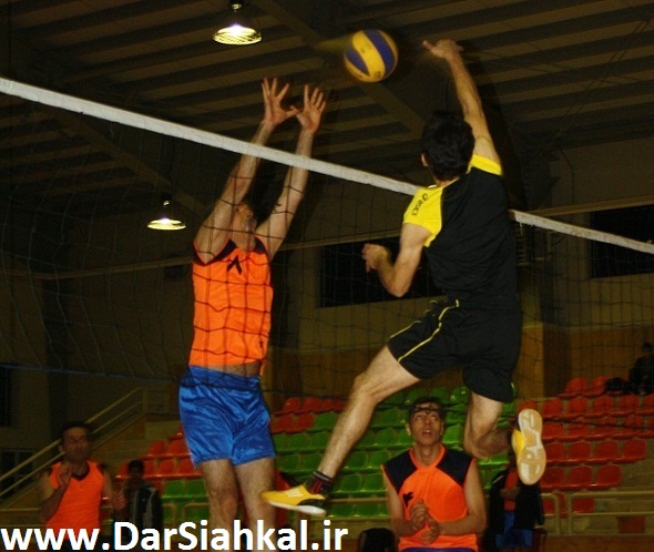 فینالیستهای مسابقات والیبال جام دهه مبارک فجر سیاهکل مشخص شدند/جمعه فینال مسابقات+گزارش تصویری
