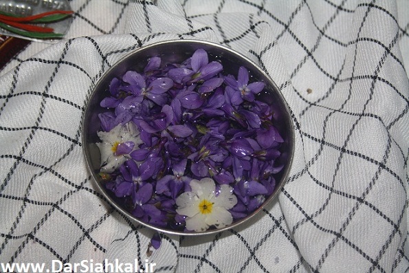 haftsin_dar_siahkal (15)