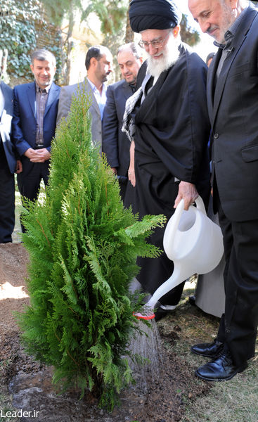 kasht_derakht_rahbari (9)