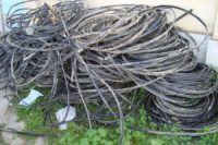 سیم های برق سرقتی توسط بسیجیان آسیابر کشف شد