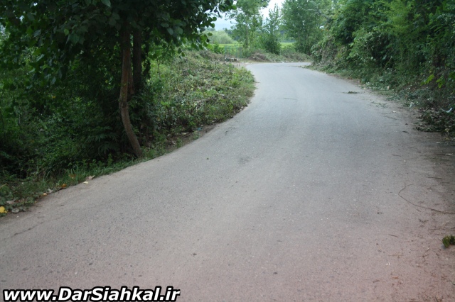 dar_siahkal (8)