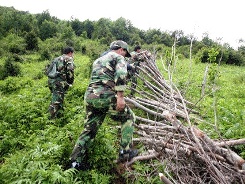 بزرگترین عملیات آزادسازی اراضی ملی گیلان در سیاهکل انجام شده است