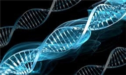 چرا دانمارکیها شاد هستند؟