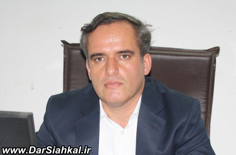 در ۶ماهه امسال حدود ۱۰۰ هزار دام در سیاهکل معاینه و بر علیه بیماری های آنها مبارزه شده است