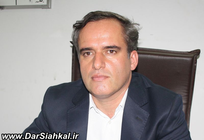 ۳.۴ میلیون قطعه مرغ در سیاهکل تولید می شود