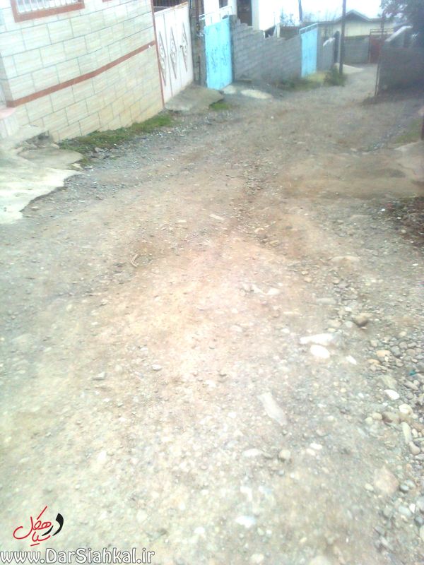 lish_dar_siahkal (1)