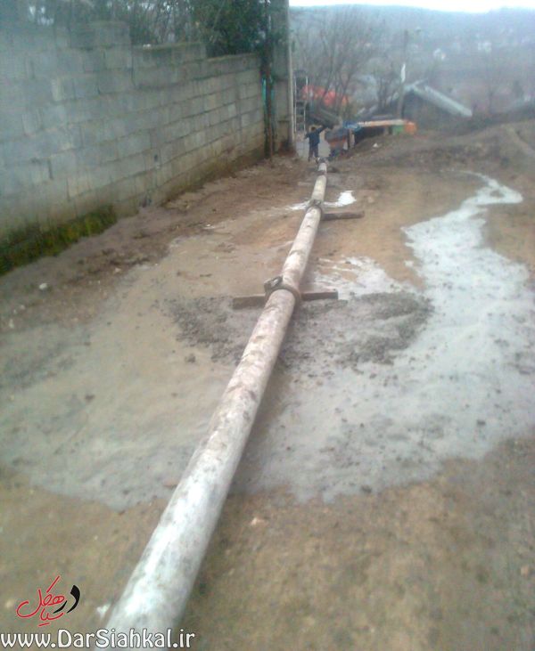 lish_dar_siahkal (12)