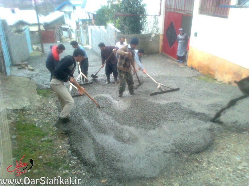 lish_dar_siahkal (13)