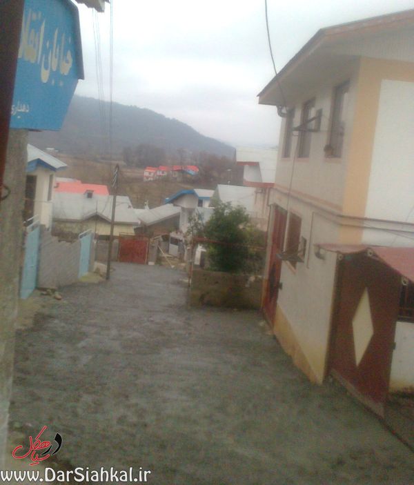 lish_dar_siahkal (14)