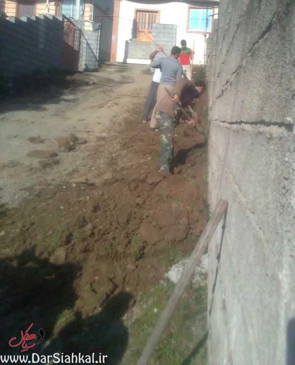 lish_dar_siahkal (3)