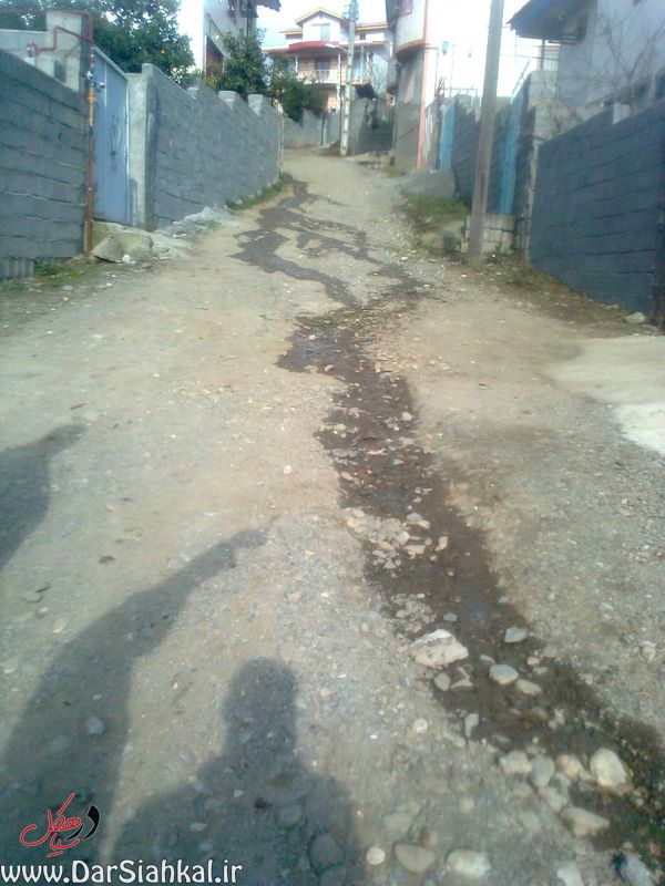 lish_dar_siahkal (4)