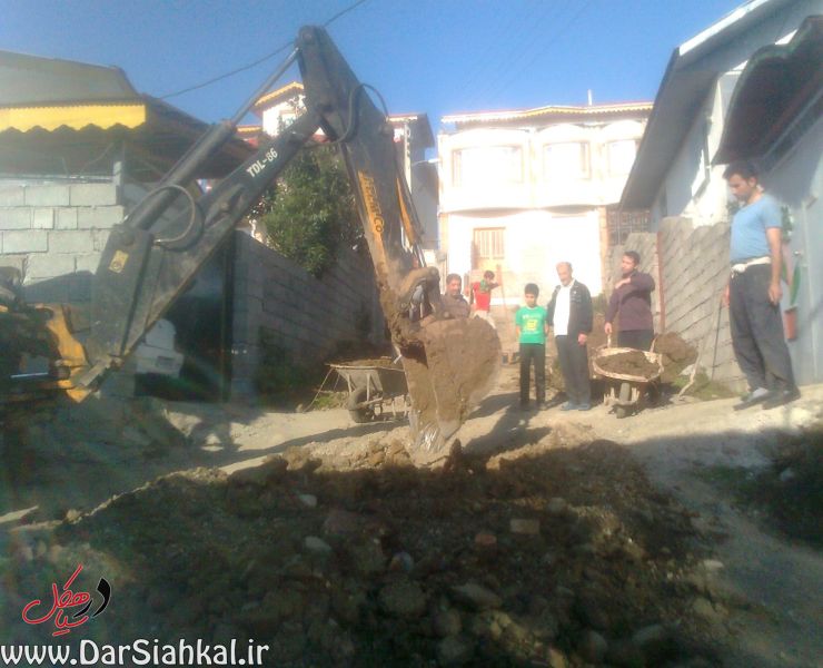 lish_dar_siahkal (5)