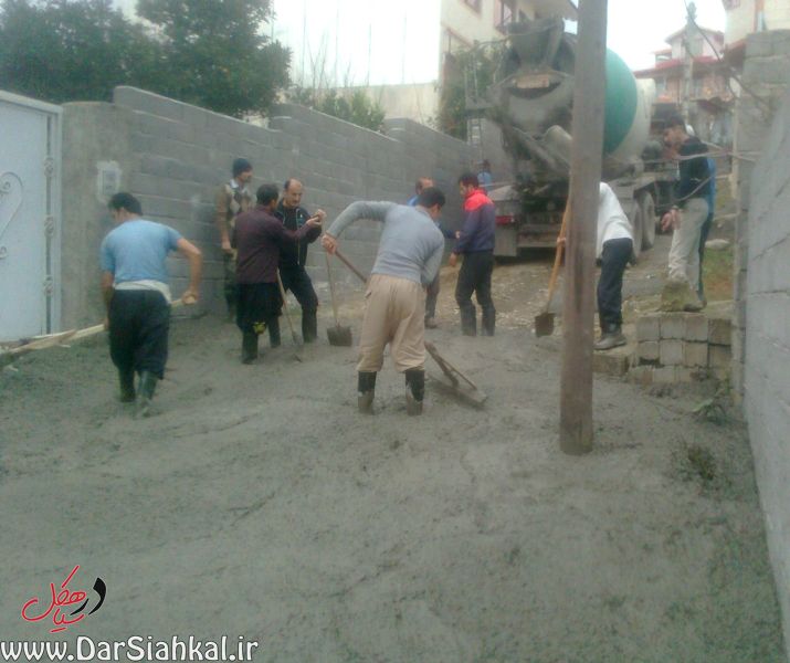 lish_dar_siahkal (8)