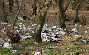 پسماند روستایی در سیاهکل و رودبار تهدید سیمای جنگلی فری‌رود ـ زیلکی‌رود