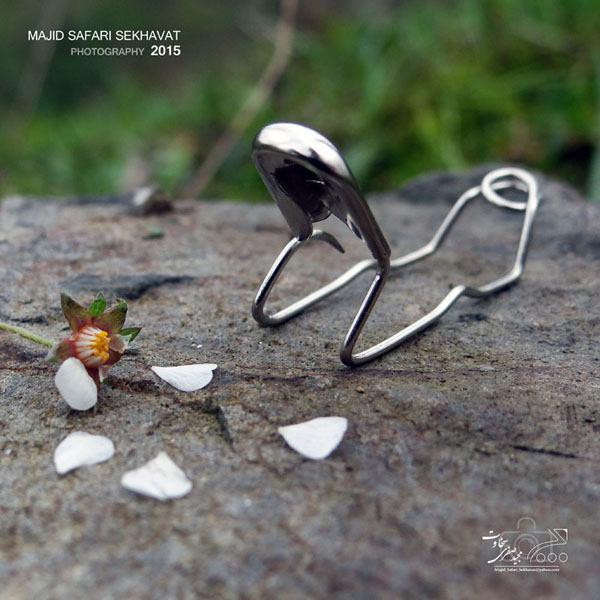 photo_2015-07-25_13-19-17